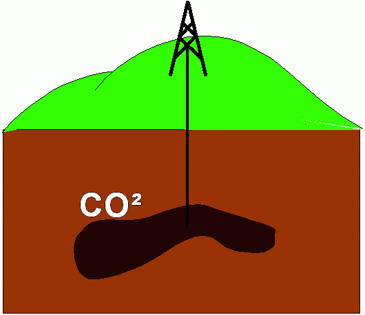 vie de l'arbre